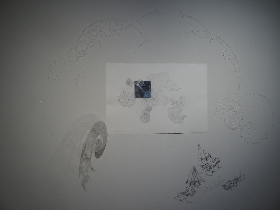 Lichen Universe, ink and 3D drawing, photo, 2017-2019 Anitta Toivio, photo Dotti Cichon